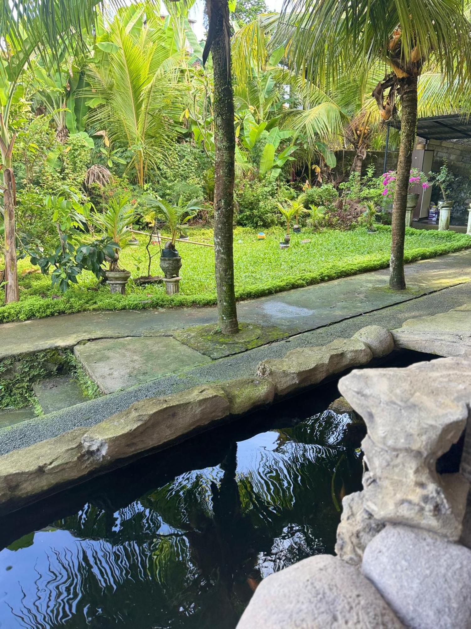 Pineapple House Hotel Ubud  Bagian luar foto